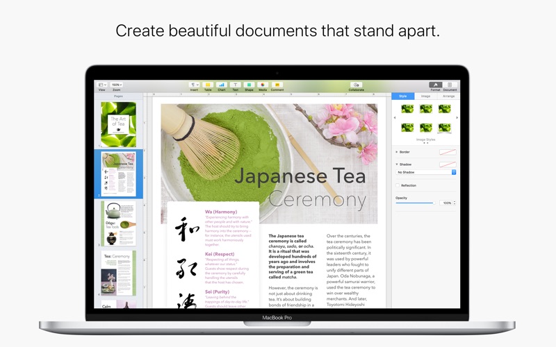 Download Wingdings For Mac Pages